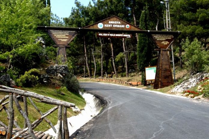 Amasya Kent Ormanı: Şehirden Kaçmadan Doğaya Kaçış