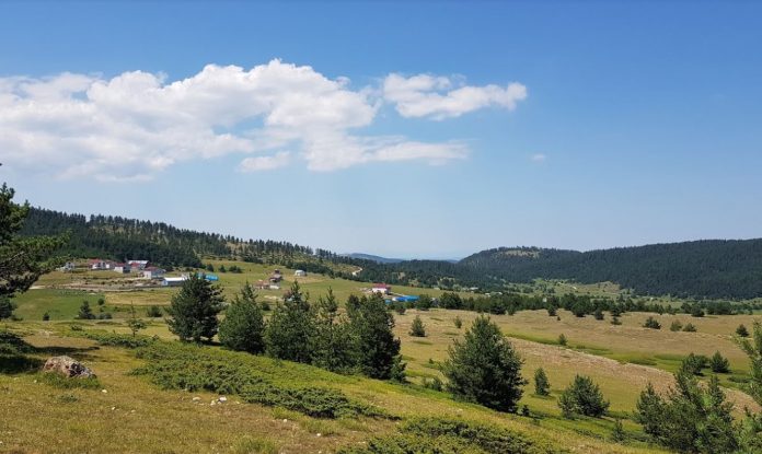 Çorum’un Doğal Cenneti: Kargı Yaylası