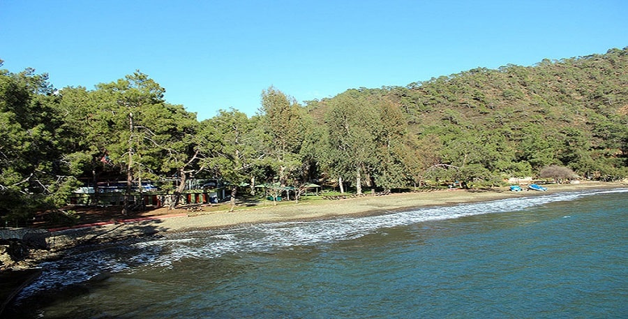 Katrancı Orman Kampı / Marmaris / MUĞLA