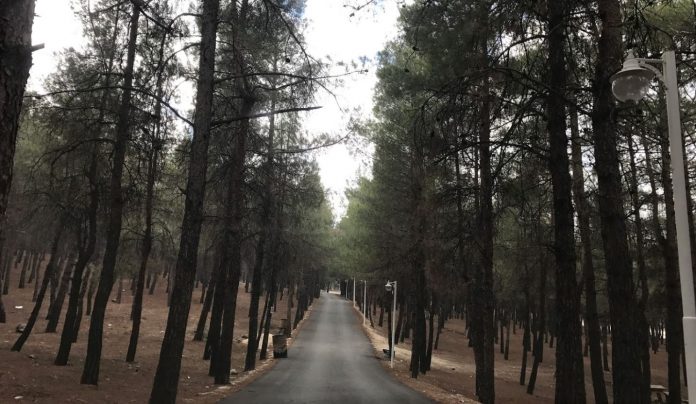 Kent Ormanı / Merkez /  BURDUR