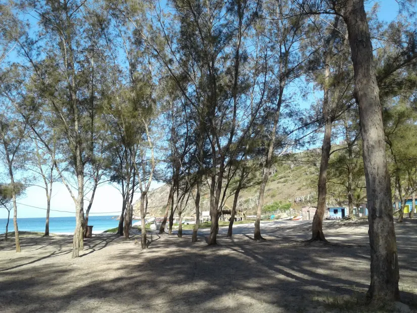 Gizlibahçe Camping: Yalova’da Doğayla İç İçe Kamp Deneyimi