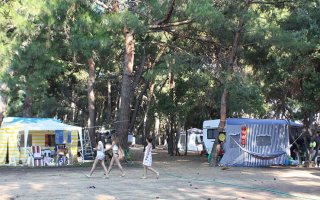 Hipo Camp: İzmir Menderes’te Doğa ile İç İçe Kamp Deneyimi