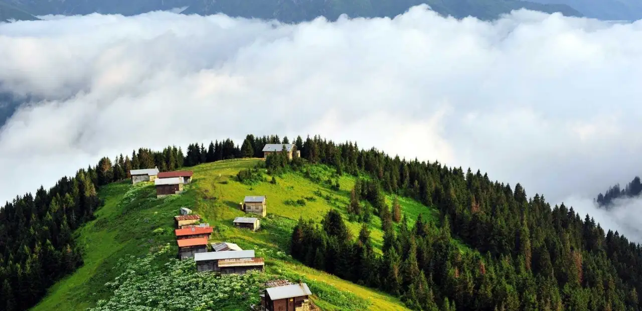 Pokut Yaylası: Rize’nin Doğa Harikası
