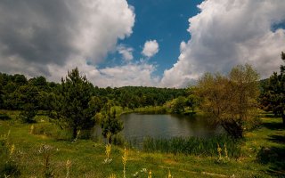 Topuk Yaylası Tabiat Parkı: Kütahya’da Doğa ile Baş Başa Bir Kaçamak