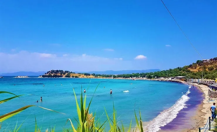Pissa Koyu / Dikili / İZMİR